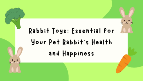 Rabbit Toys Essential for Your Pet Rabbit’s Health and Happiness
