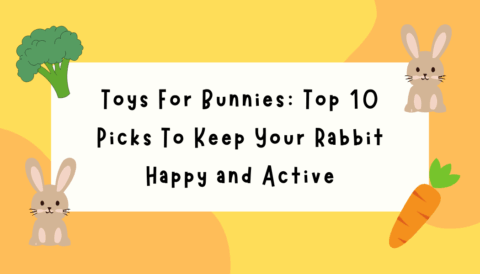 Fun and safe rabbit toys for your pet bunny to enjoy