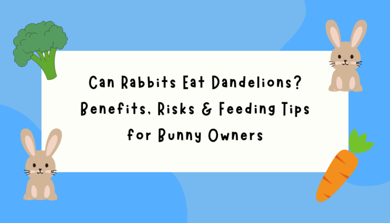 Cover image with blue background featuring cartoon rabbits, carrots, and the blog title: Can Rabbits Eat Dandelions? Benefits, Risks and Feeding Tips for Bunny Owners